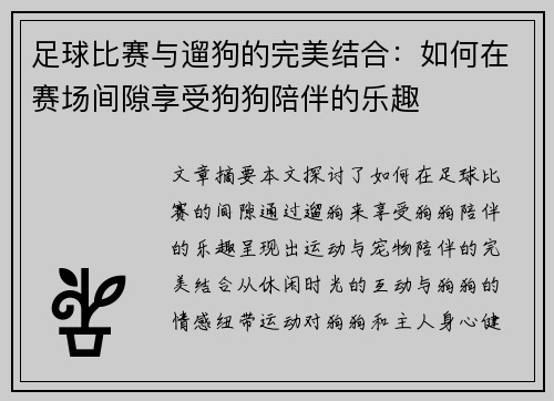 足球比赛与遛狗的完美结合：如何在赛场间隙享受狗狗陪伴的乐趣