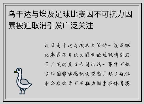 乌干达与埃及足球比赛因不可抗力因素被迫取消引发广泛关注
